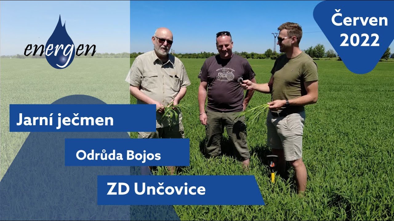 Produktivita klasu – jarní ječmen Bojos na Hané. | ZD Unčovice | Tomáš Raška, Jarda Mach a Petr Král