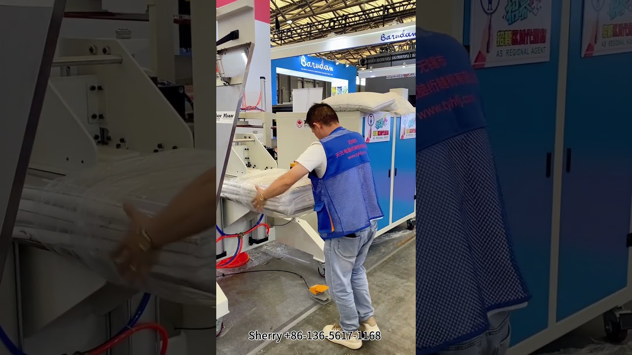 BZZDJ-3 pillow/cushion bagging machine,compress packing machine