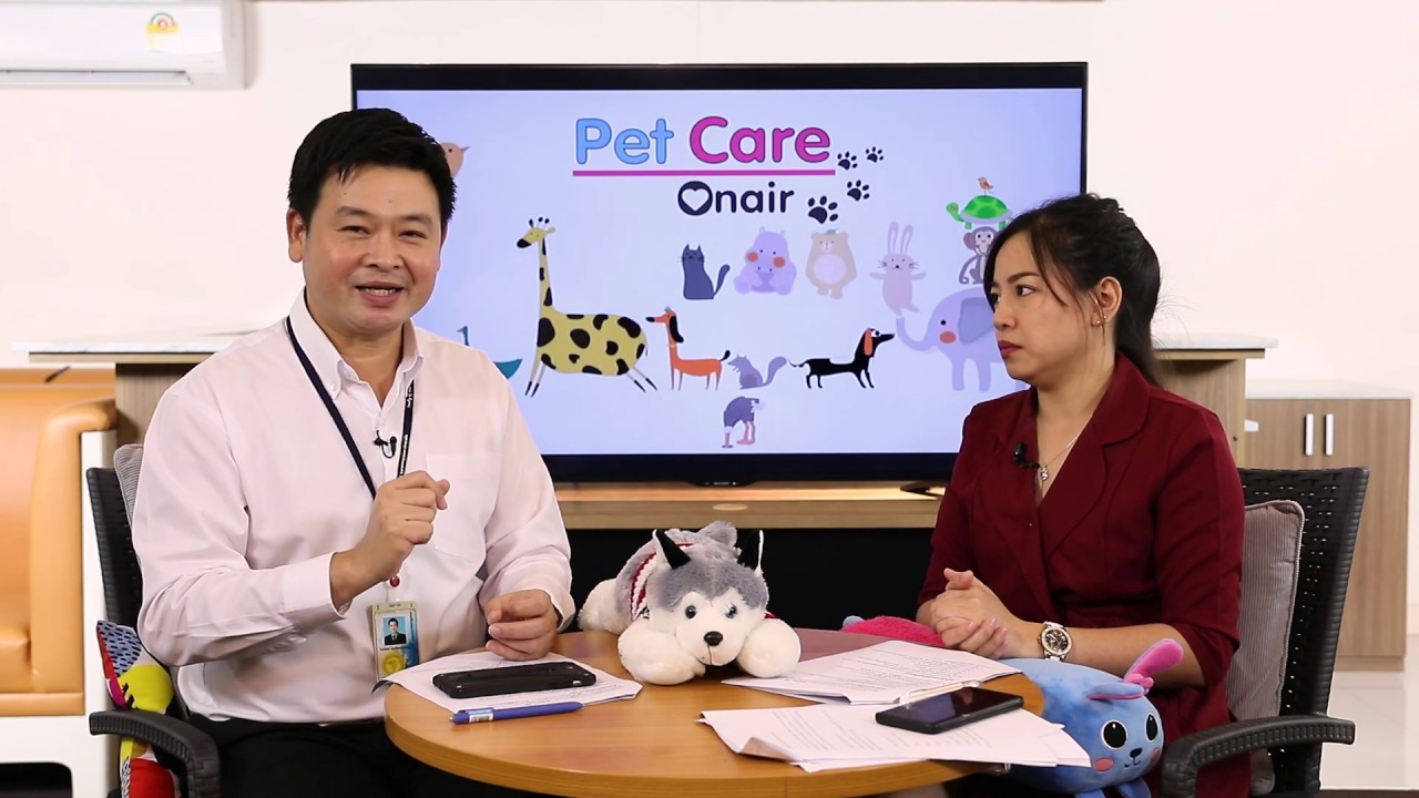 สุนัขตัวร้อน มีไข้ ทำอย่างไรดี | รายการ pet care onair