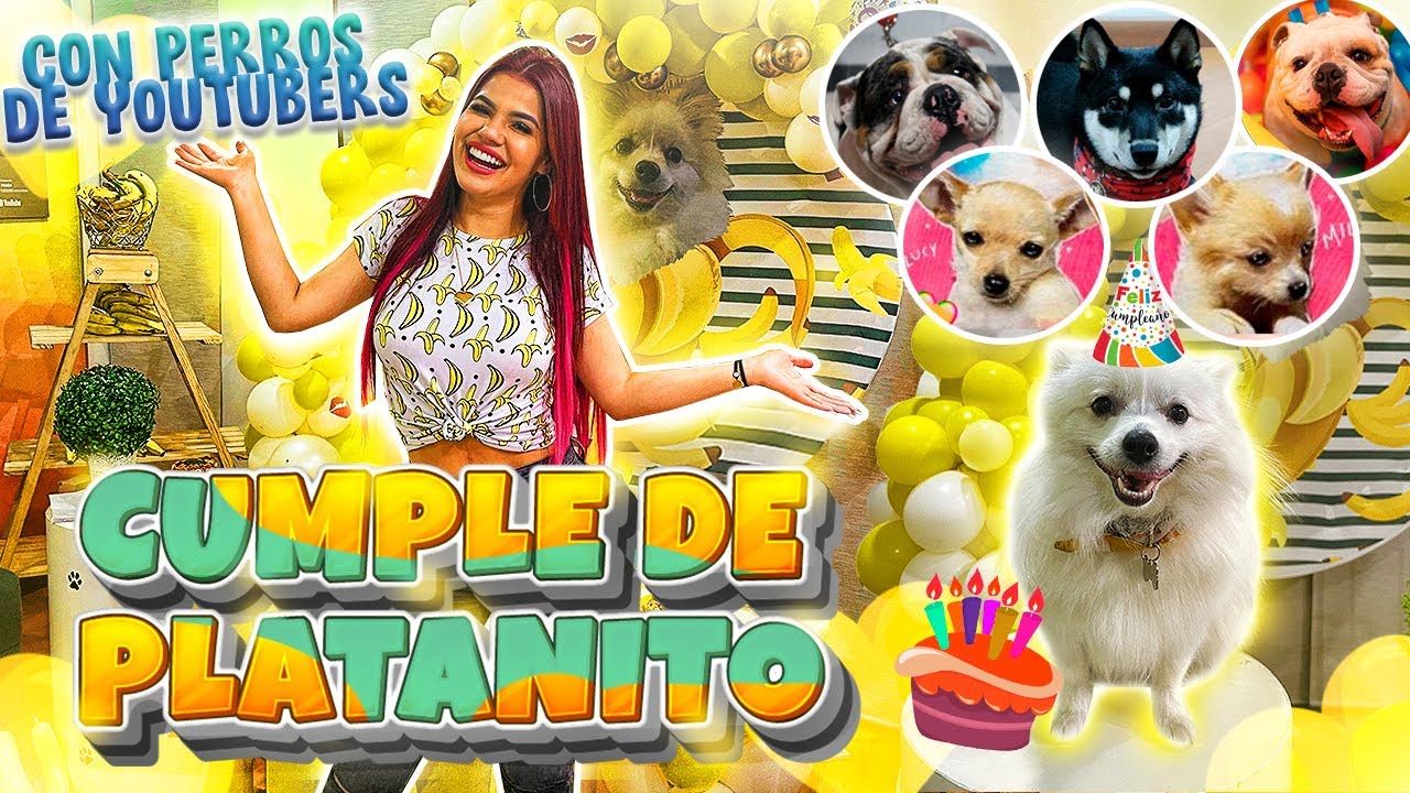 LE HAGO A MI PERRO LA FIESTA QUE YO NUNCA TUVE - MARIANA