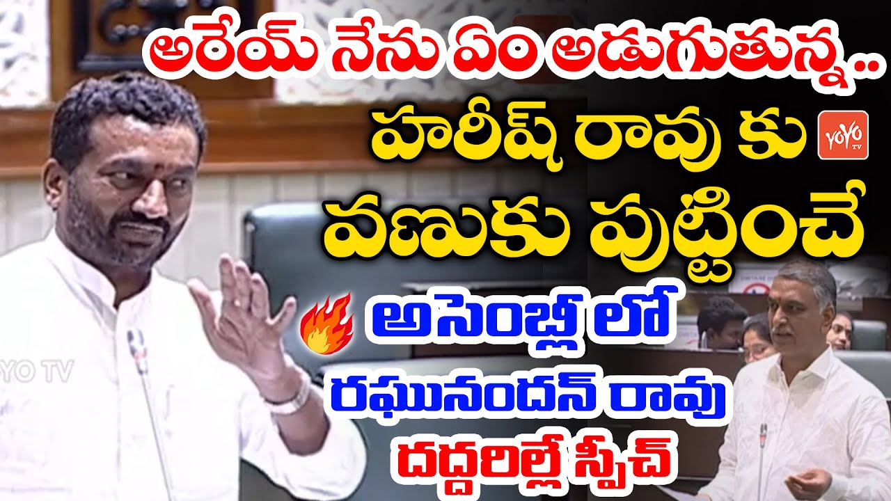MLA Raghunandan Rao HIGH VOLTAGE Speech Today In TS Assembly 2022 | CM KCR | Harish Rao | YOYO TV