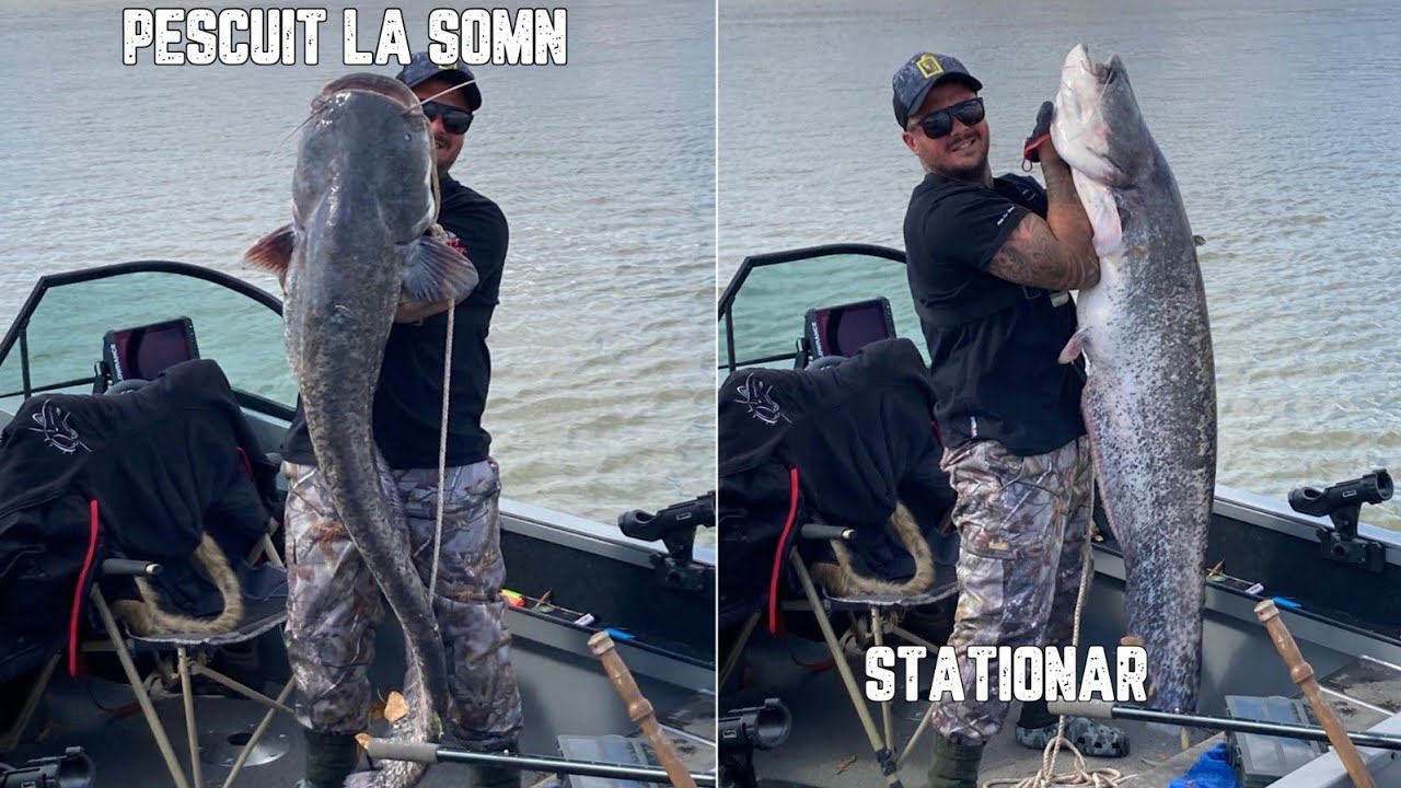 Pescuit la somn in Delta Dunarii pe bratul Chilia cu membrii canalului. Somn 35kg +