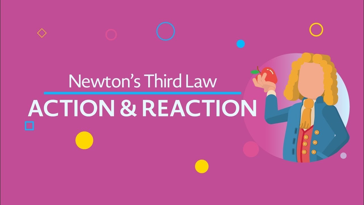 Action and Reaction: Newton&rsquo;s Third Law (updated)