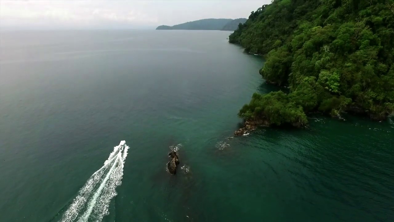 Playa Cativo Lodge - Creating Lifetime Memories. Costa Rica Rainforest.