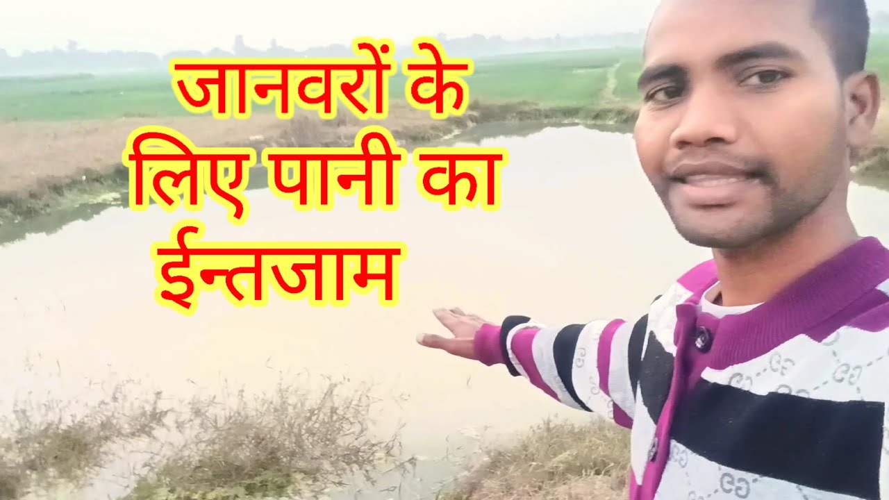 जानवरों के लिए पानी का ईन्तजान |#viralblog #dallyblog #blogorvlog #minivlog #vlog #video #blog 
