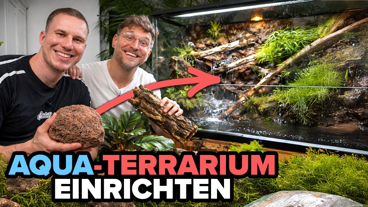 AQUA-TERRARIUM für Reptilien einrichten 🦎 - Tutorial Teil 1