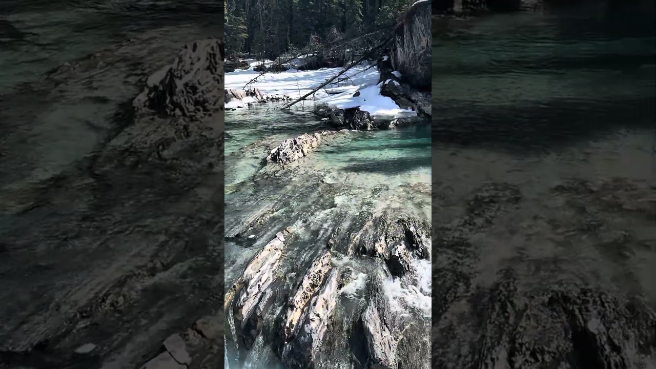 Breathtaking Short Video Nature in 4K UHD | YYC Earth