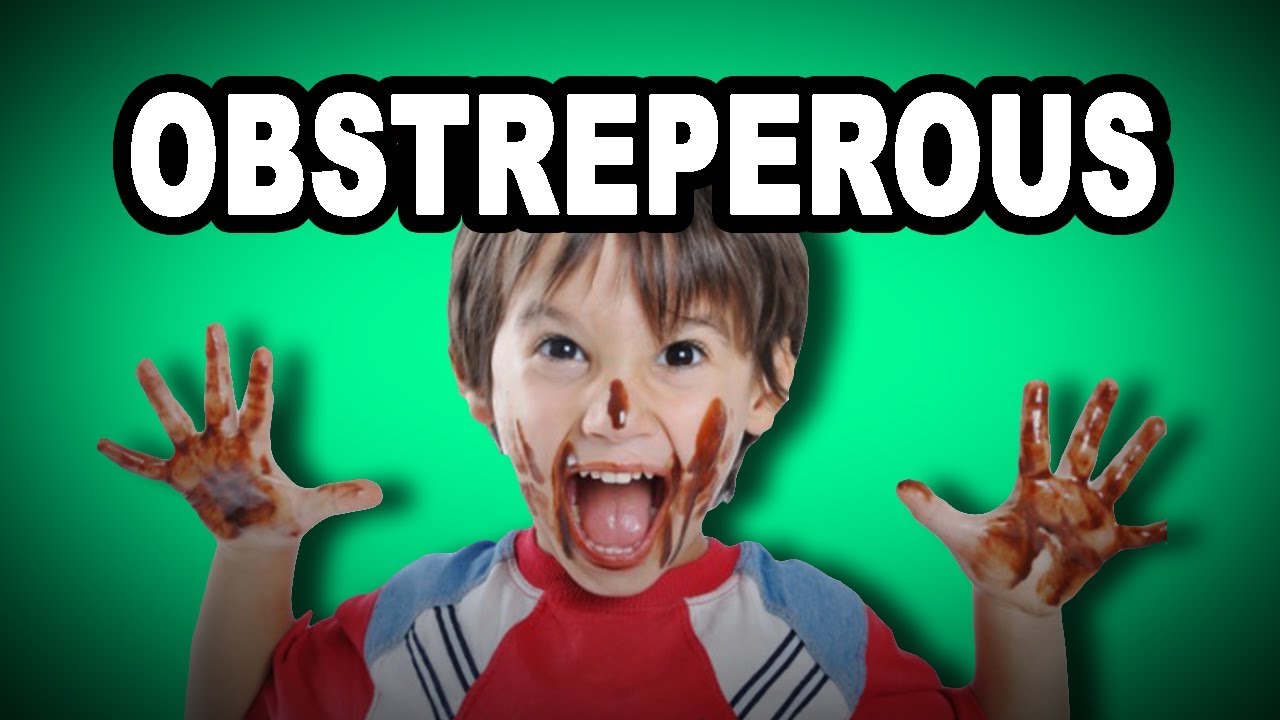 Learn English Words: OBSTREPEROUS - Meaning, Vocabulary with Pictures and Examples