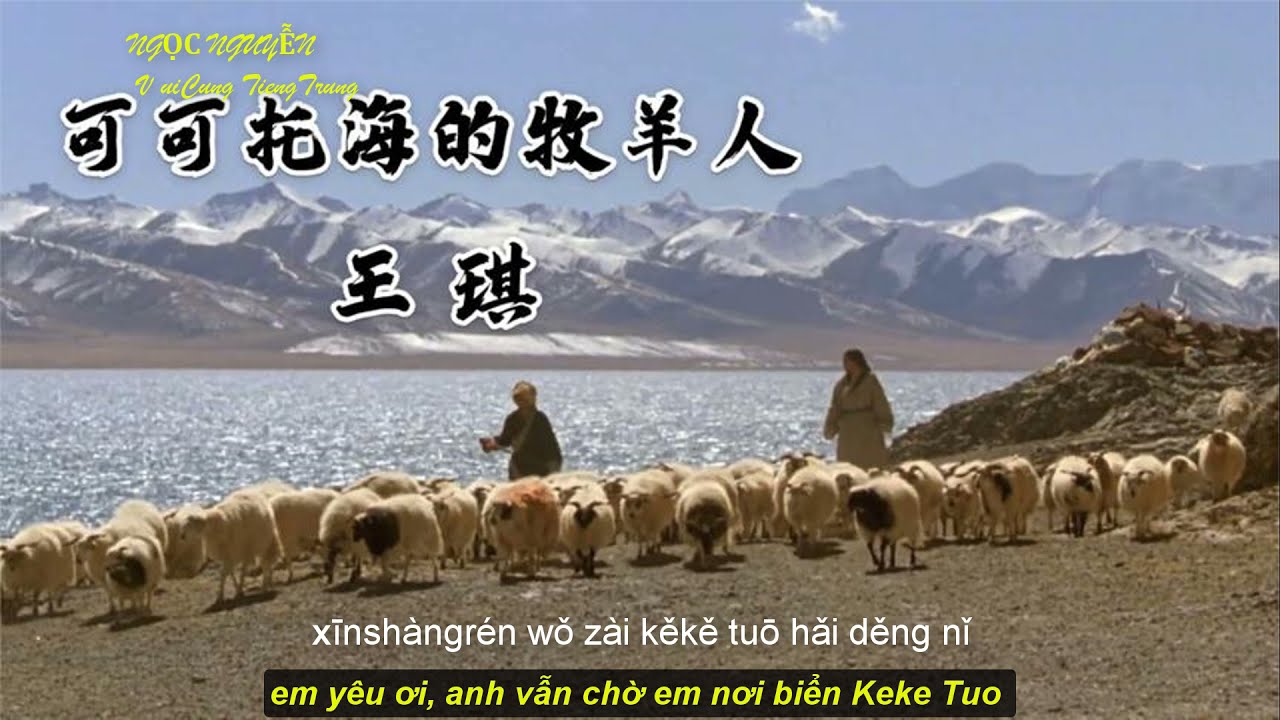 [Vietsub-Pinyin] Người chăn cừu biển Keke Tuo (可可托海的牧羊人)- Vương Kỳ