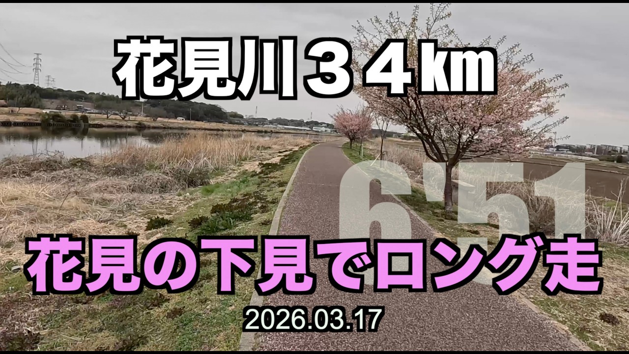 【ロング走】八千代中央駅から幕張まで新川・花見川を下って３４km 2026.03.17 #花見川ラン #サブ４ #サブ35