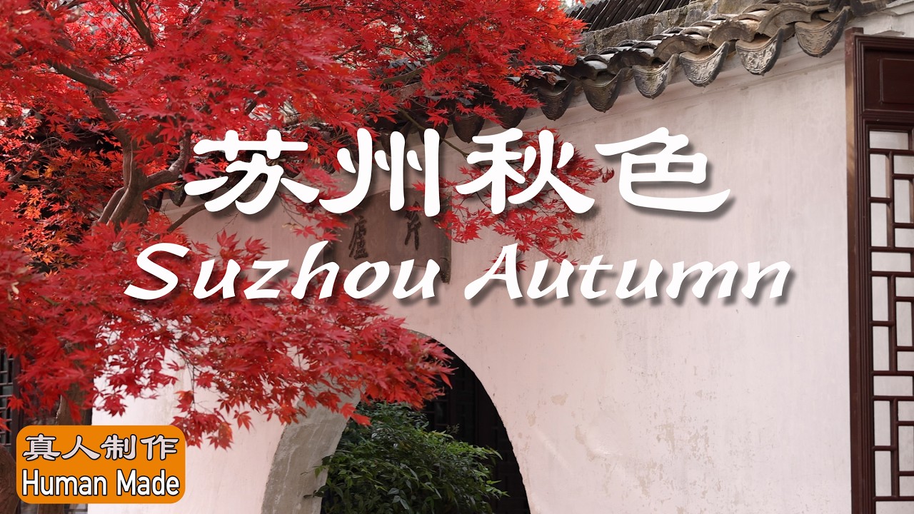令人陶醉的苏州秋天景色。Amazing autumn colors in Suzhou, China.