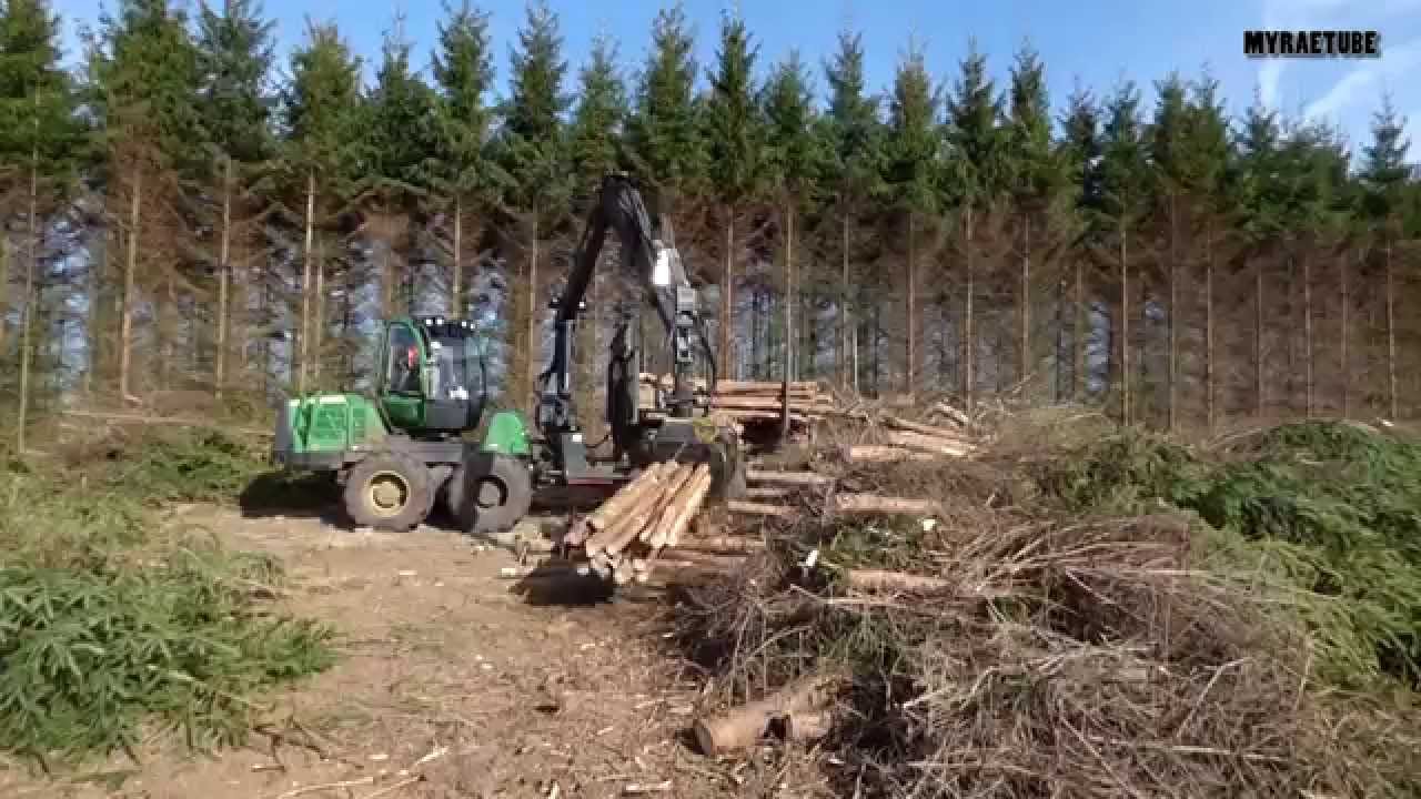 Productiebos oogsten en stobben frezen