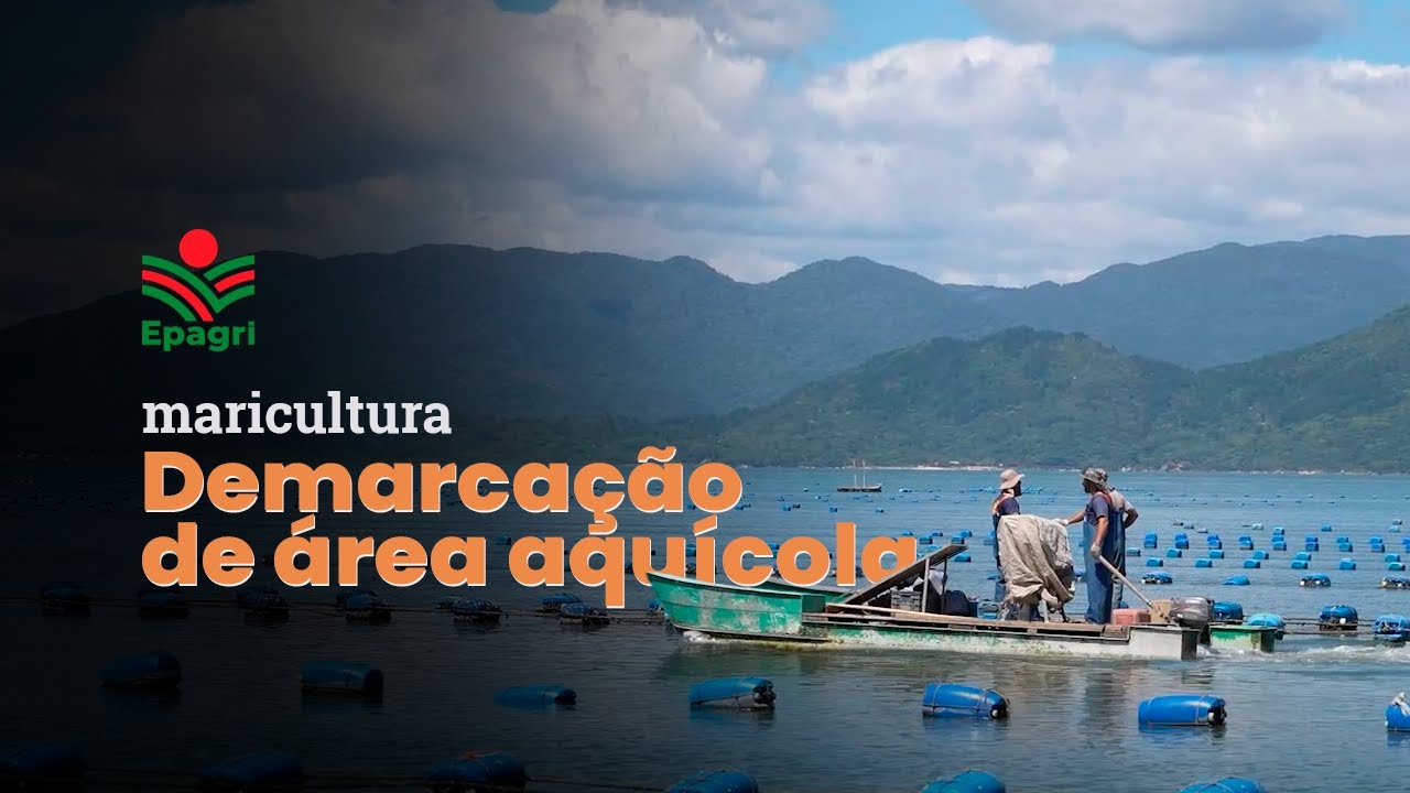 Demarcação de área aquícola - veja a importância desse serviço para a maricultura de SC