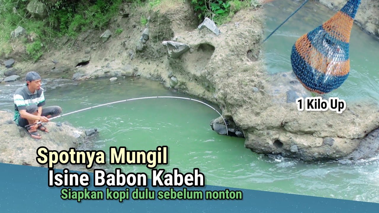 DI LUAR DUGAAN‼️ MANCING MELEM SPOT MUNGIL IKANYA BESAR | Nutul Melem Babon