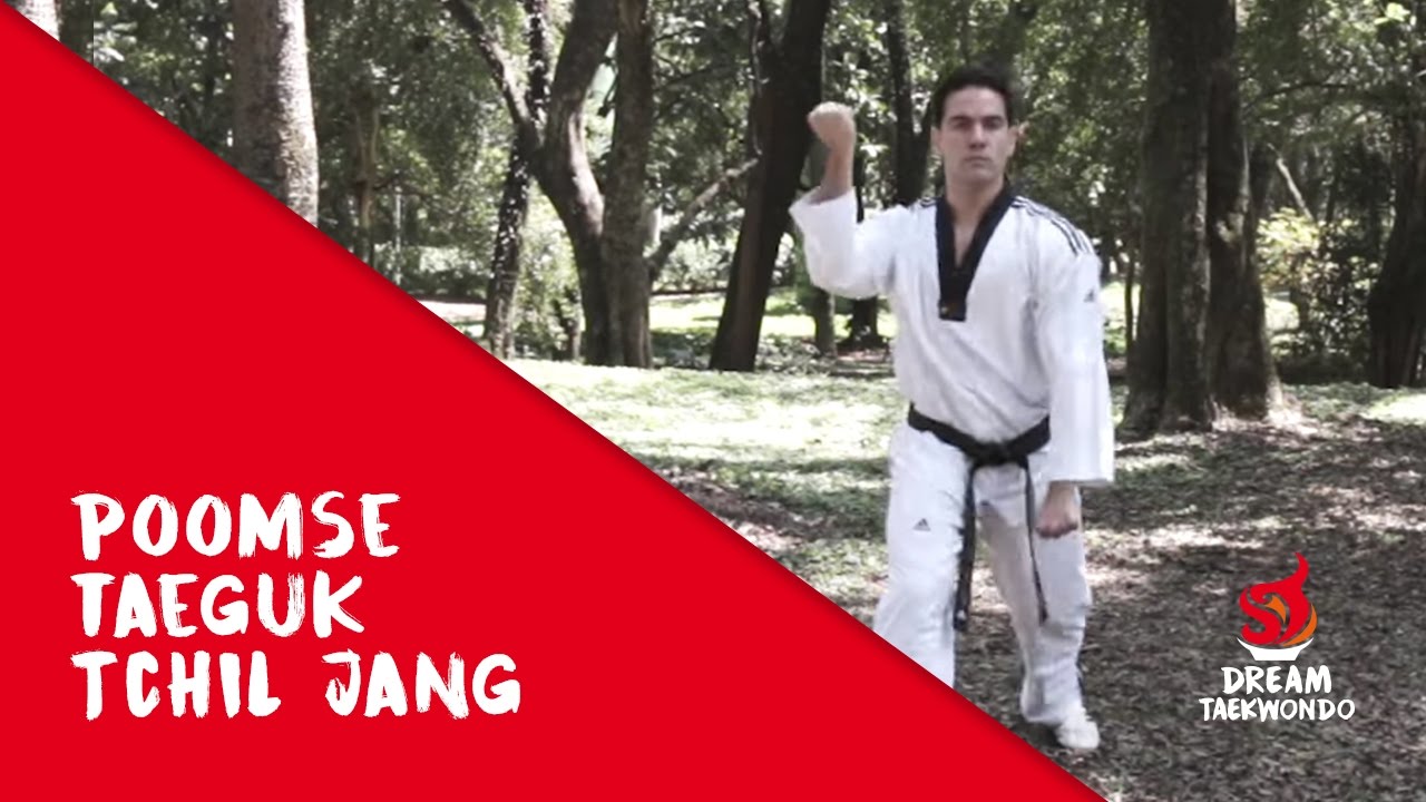Movimento Faixa Vermelha - Taeguk Tchil Jang