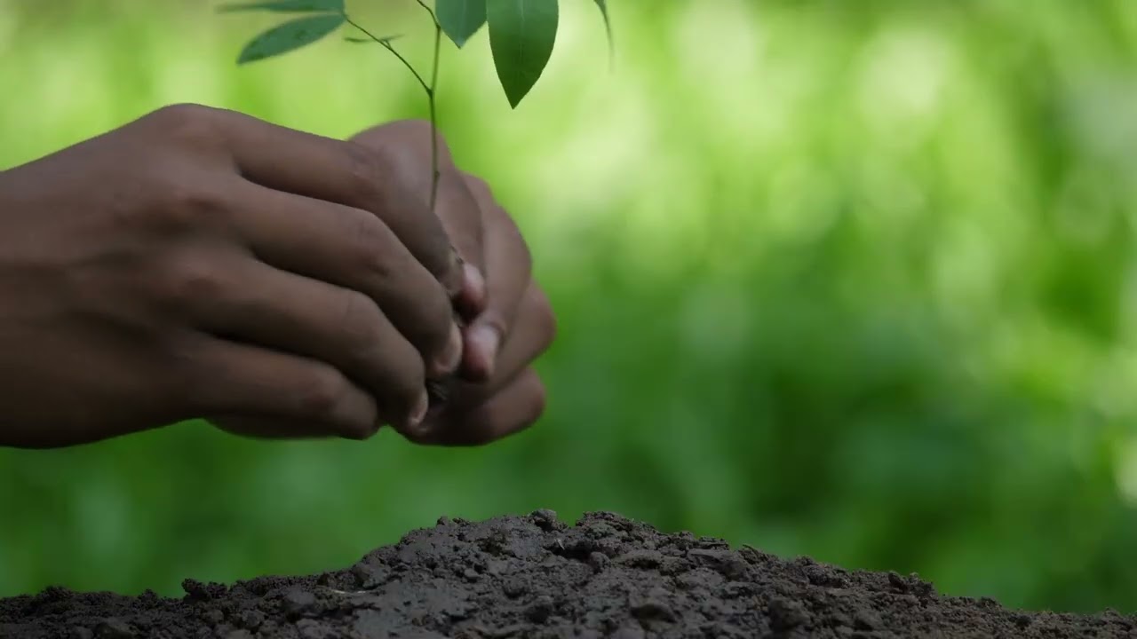 Driven by Clean Future