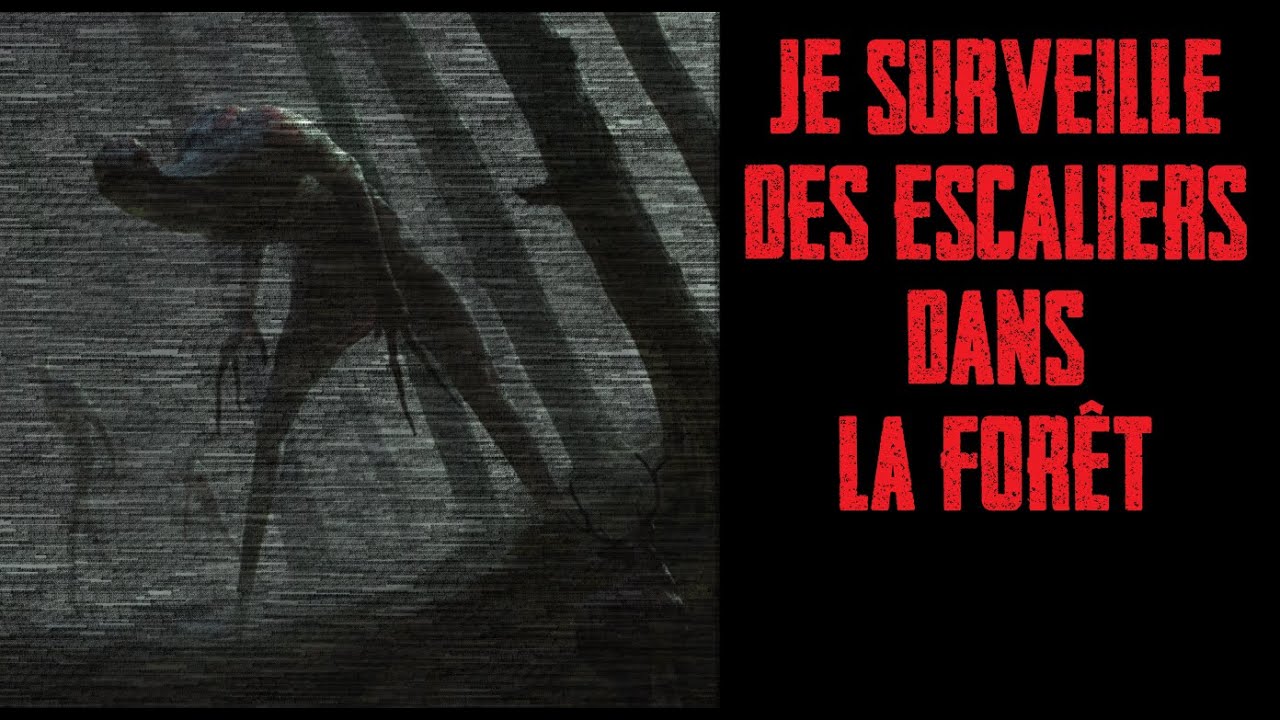 CREEPYPASTA FR - Je surveille des escaliers dans la forêt