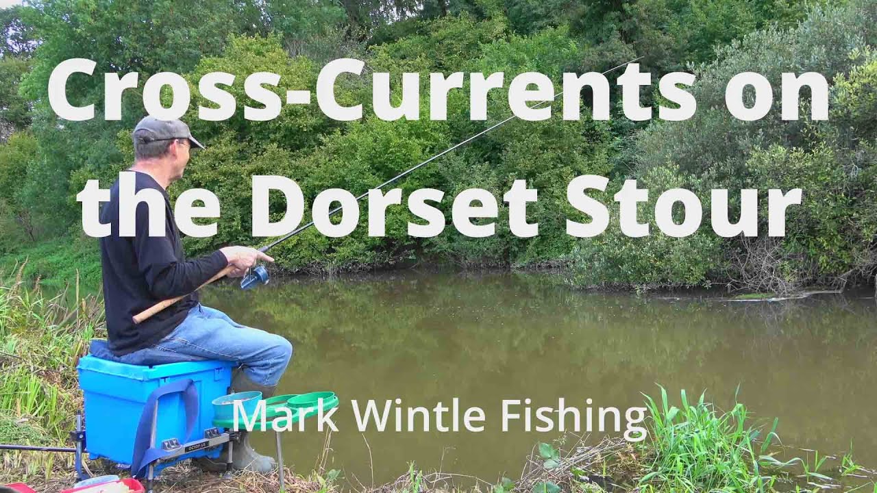 Cross- Currents on the Dorset Stour
