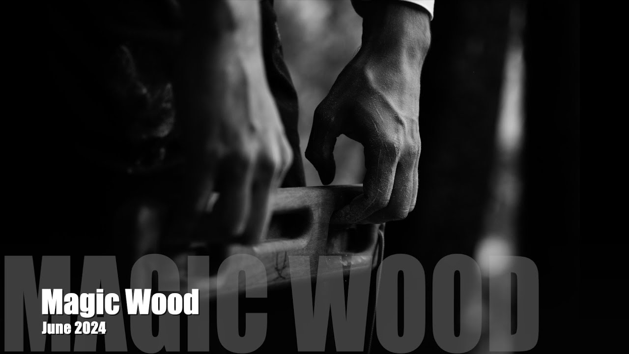 Magic Wood - June 2024