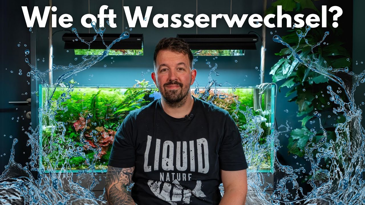 Wie oft Wasserwechseln im Aquascape?