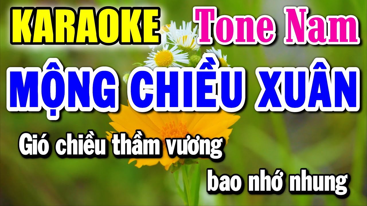 Mộng Chiều Xuân - Karaoke ✦ Tone Nam ✦ Beat Mới | Yêu ca hát - Love Singing |