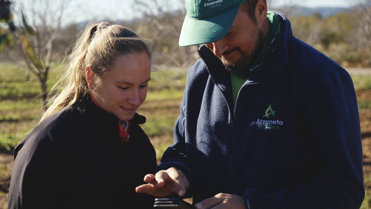 Cooperativa Atzeneta: Premio Desarrollo Rural 2024