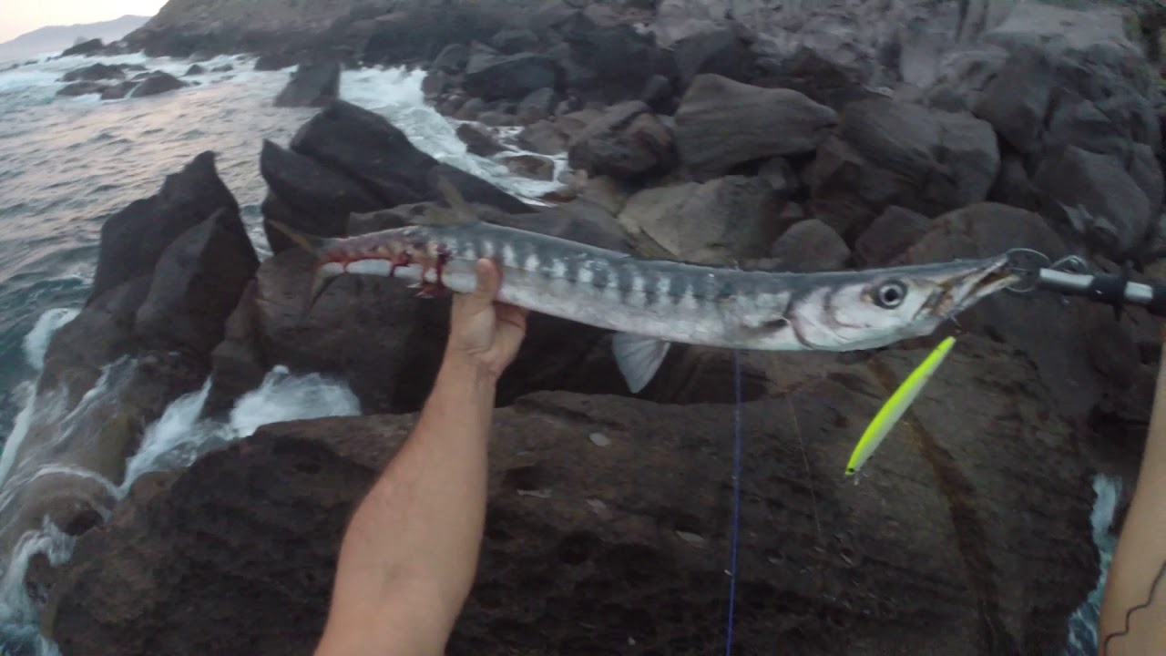 Spinning in Sardegna...un bel barracuda all'alba.. mommotti 180 (seaspin)