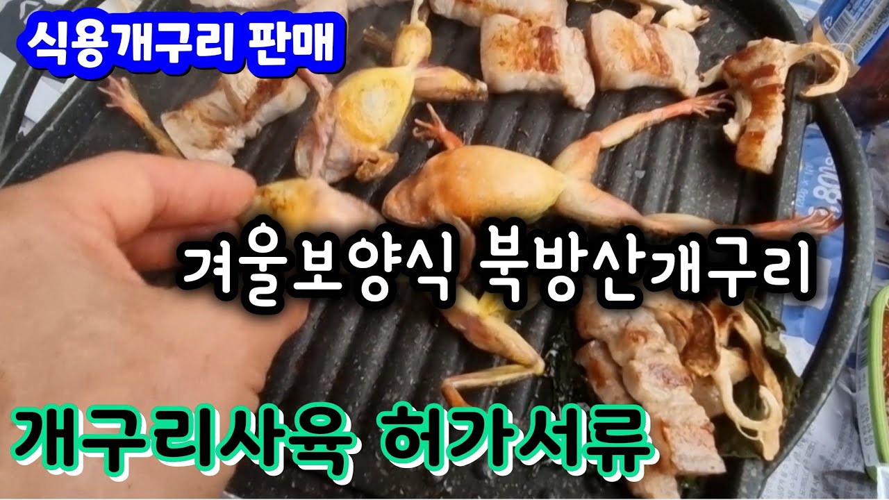 식용개구리 북방산개구리 사육허가 방법
