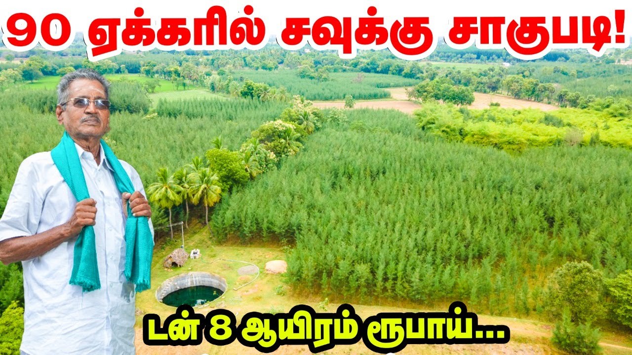 Savukku Farming: டன் 8 ஆயிரம் ரூபாய்...  மண்ணை வளமாக்கும் சவுக்கு  | Pasumai Vikatan