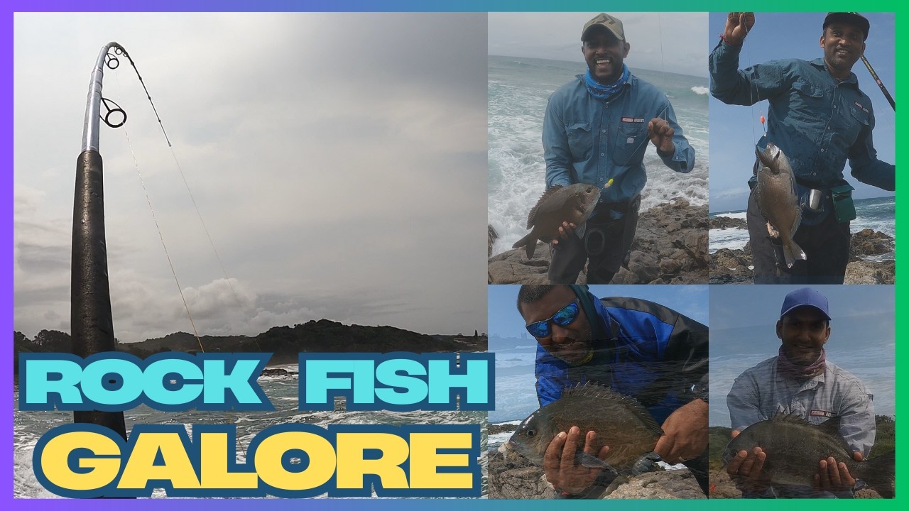 Epic day fishing on the rocks - Bronze Bream, Galjoen, Rockcod...