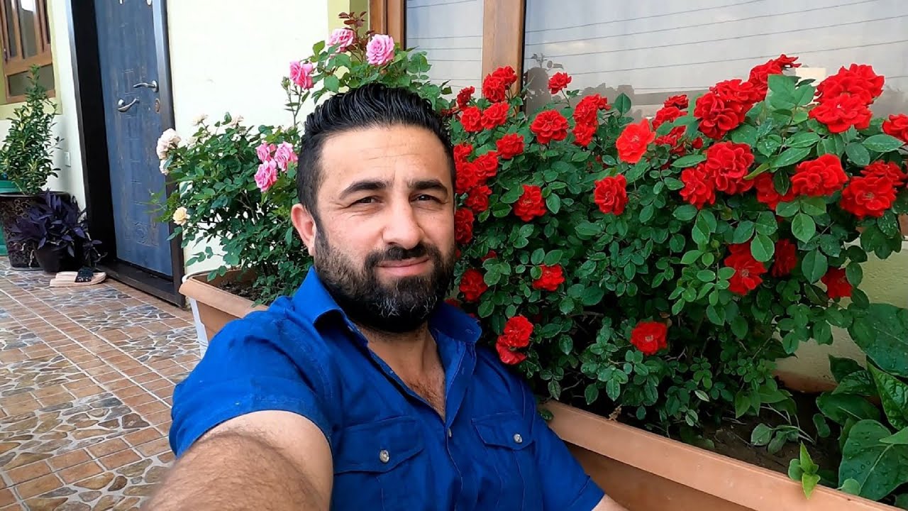 زرعاتي فوق السطح والبلكونه وبالبيتي The roof became a garden