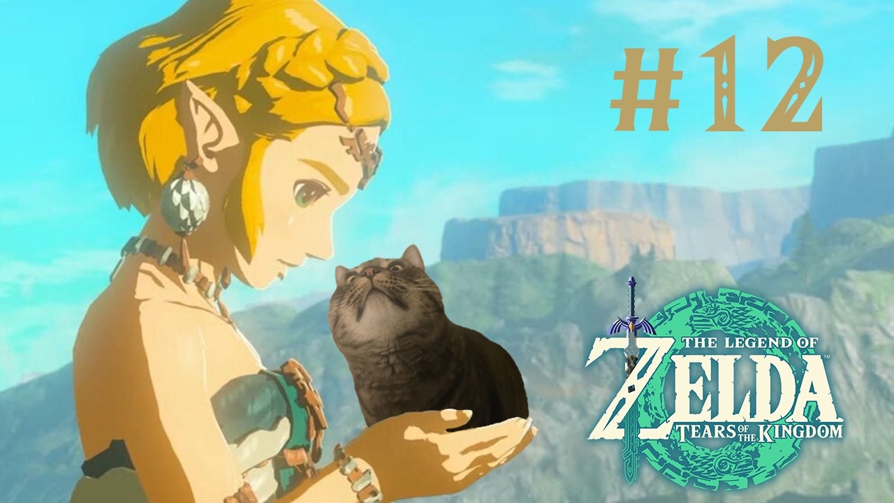 Nearing the endgame? | Tears of the Kingdom [#12]