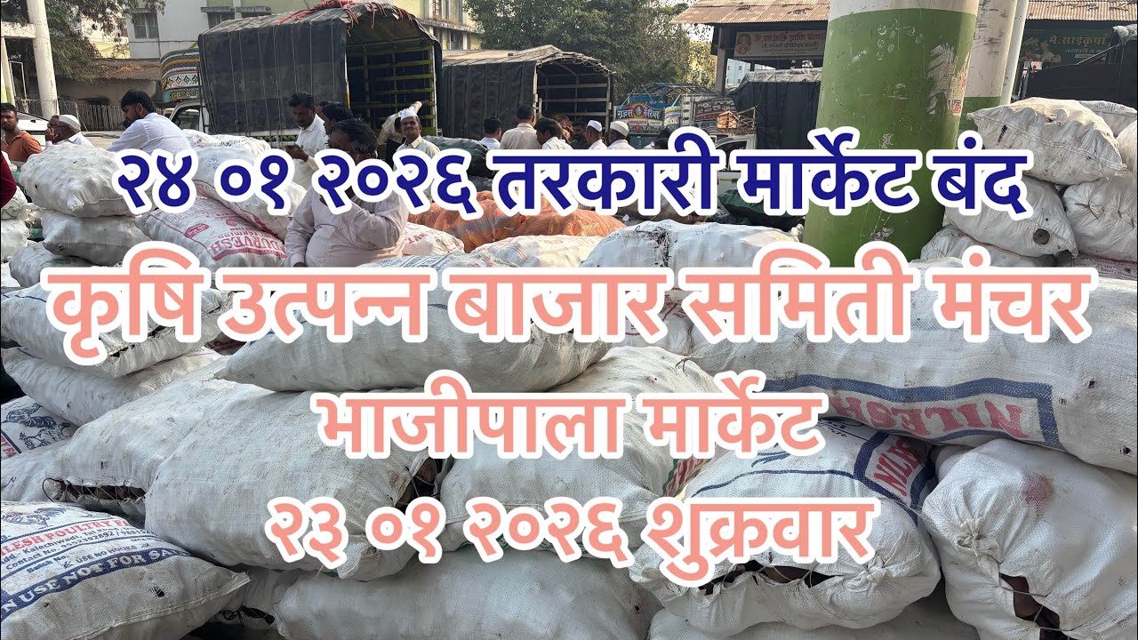 कृषि उत्पन्न बाजार समिती मंचर भाजीपाला बाजारभाव २३ ०१ २०२६...