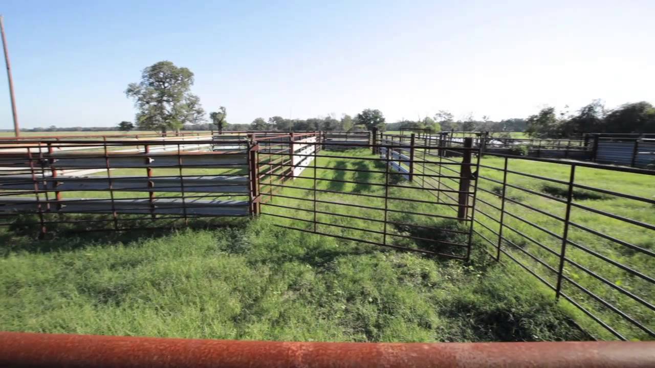 Center Ranch Video Tour