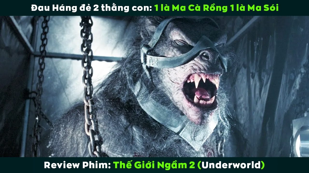 [Review Phim] Con Cháu Đánh Cụ Tổ Bố Láo Về Đoàn Tụ Với Tổ Tiên | Underworld