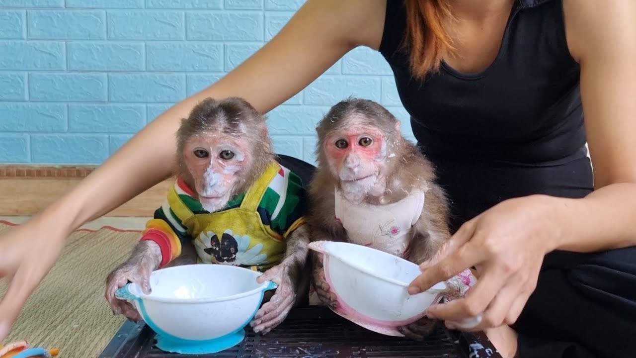 Mimi Kuku eats fruit yogurt Mom made