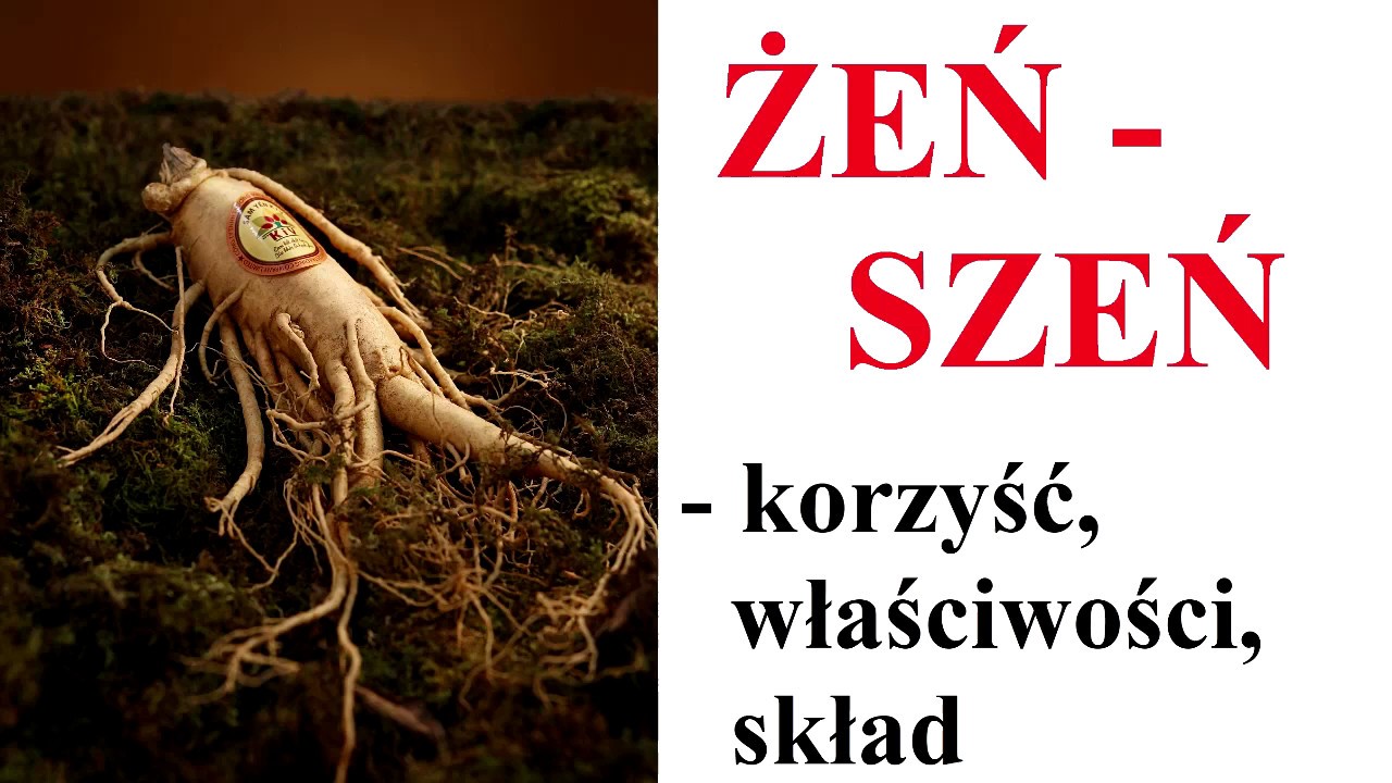 ŻEŃ - SZEŃ - czy naprawdę działa?