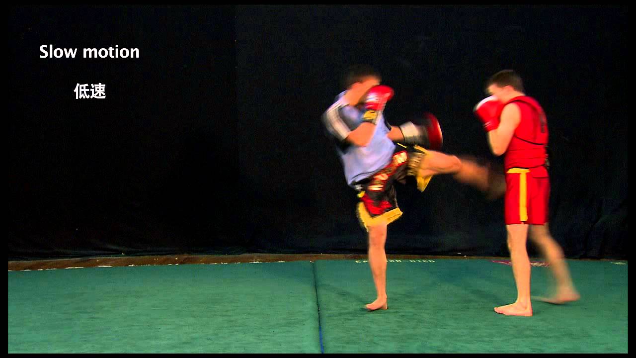 3d duan Wushu Sanda
