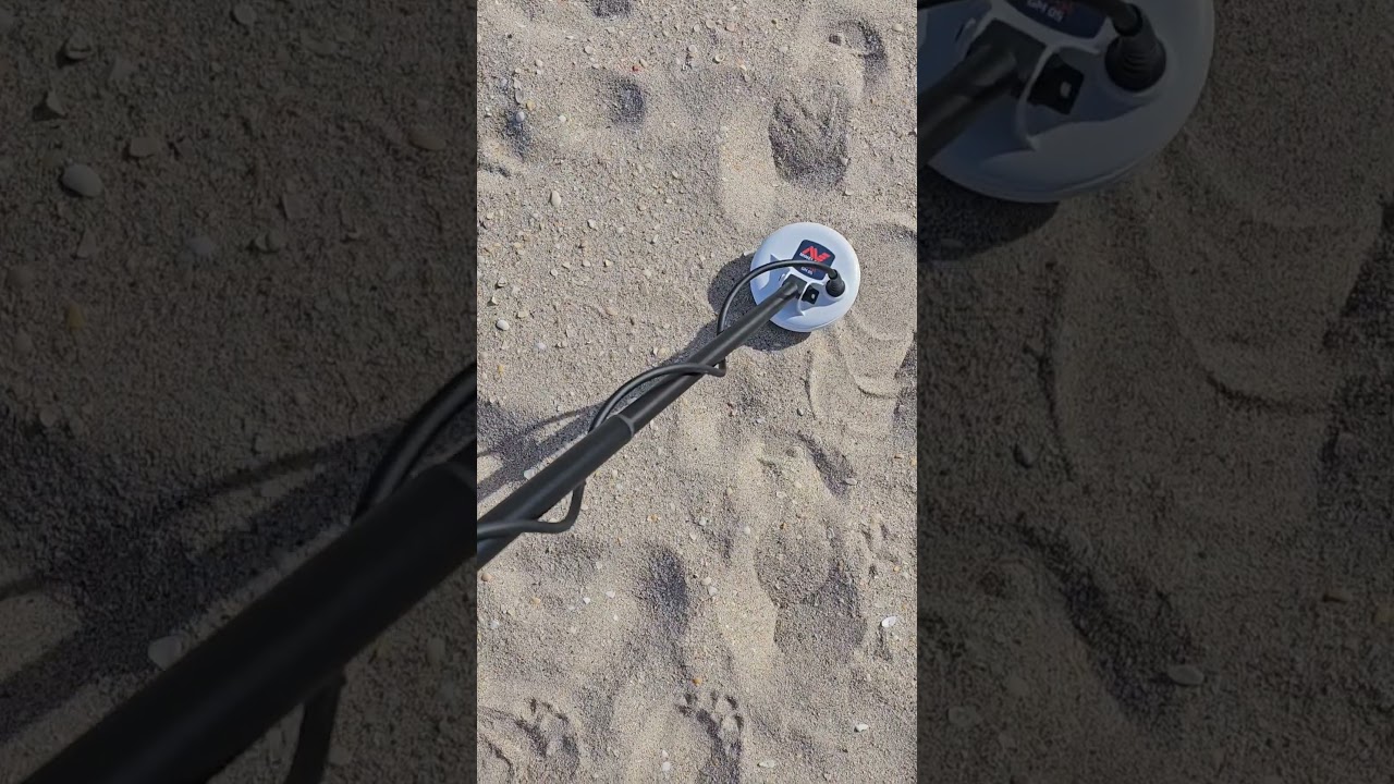 Metal detecting at the beach before our cruise with the gold monster 1000!