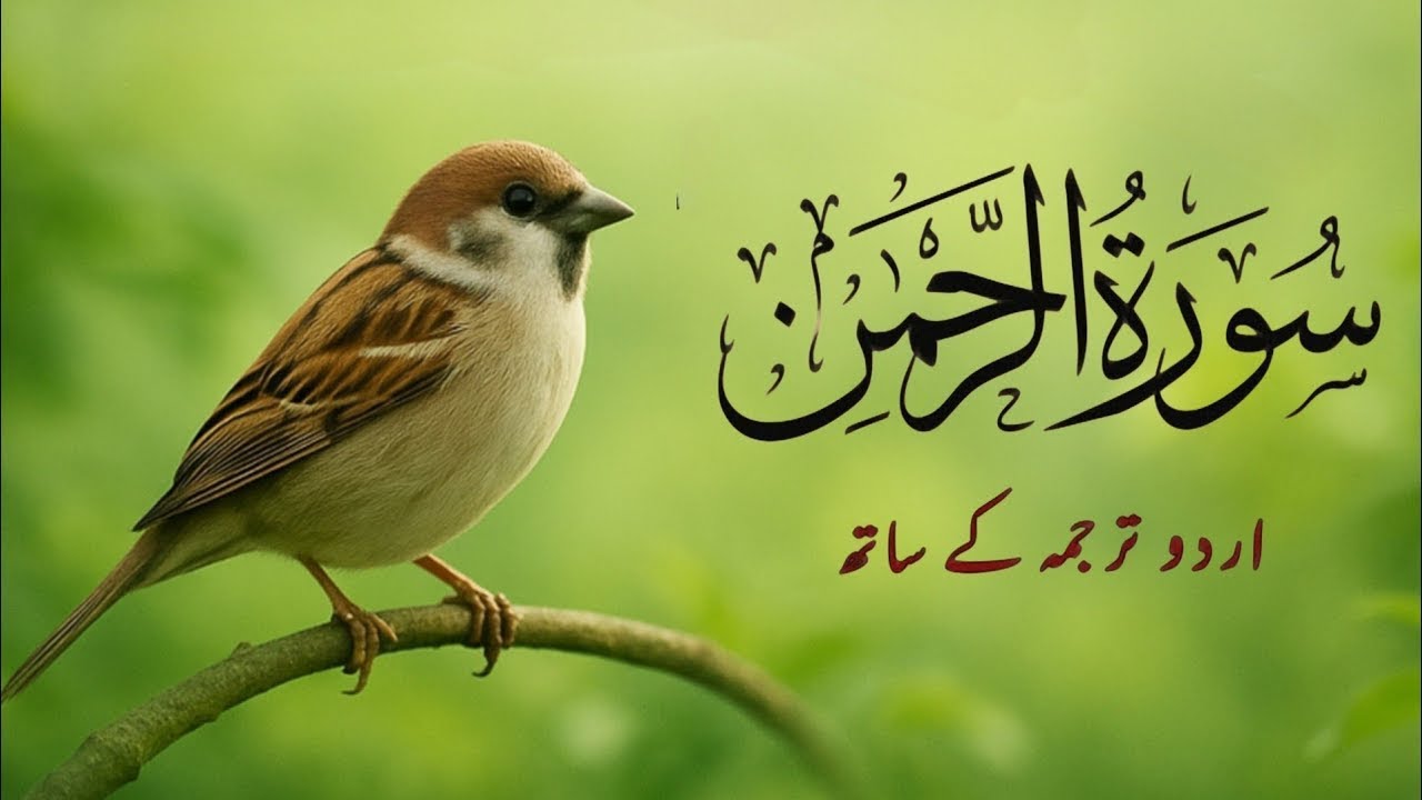 Surah Rahman Urdu Tarjuma k Sath | Qari Al Sheikh Abdul Basit Abdul Samad | Quran Karim | Recitation