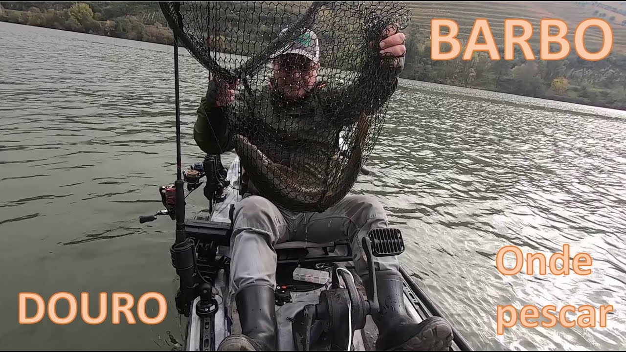 Pesca ao barbo