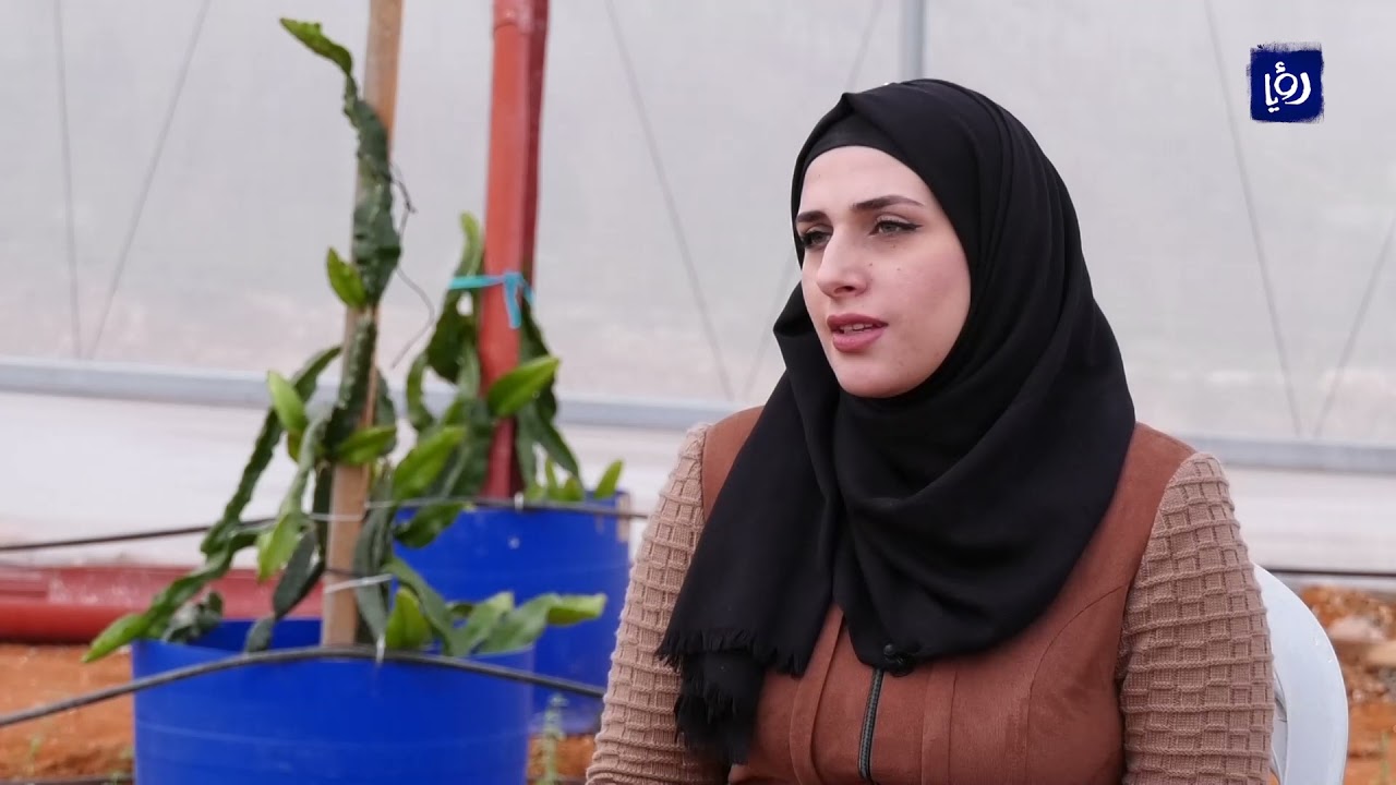 شابة فلسطينية تبدأ مشروعا رياديا عبر زراعة فاكهة التنين الاستوائية