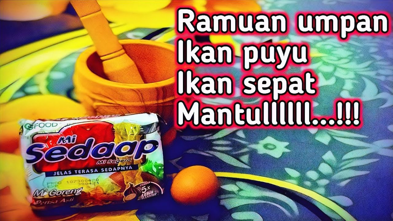 Membuat umpan ikan puyu dan ikan sepat...
