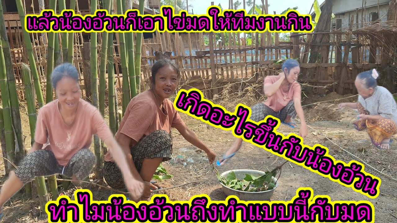 ด่วนๆเอาเรื่องแล้ว❗น้องอ้วนทำไมถึงทำแบบนี้กับมด19 มีนาคม ค.ศ. 2026