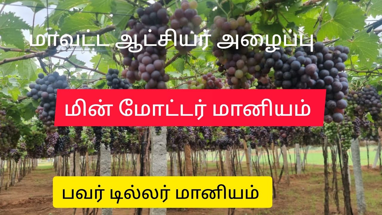 July 6, 2023 power tiller subsidy in pump set motter subsidy in tamil