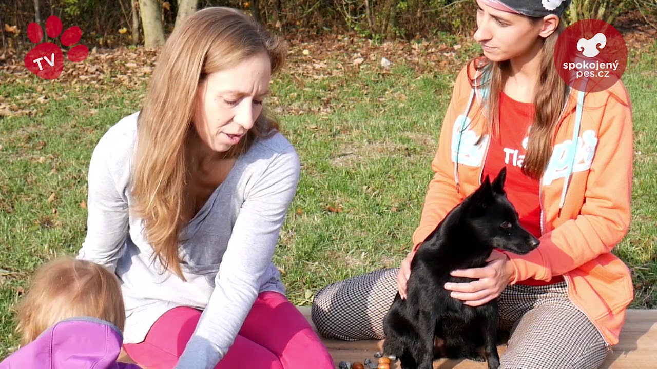 Tlapka TV - Neštěkej!