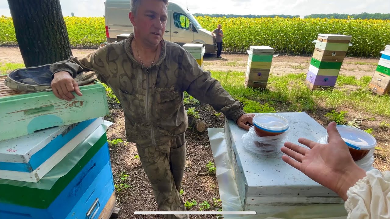 ч.1 Пасіка❗️розігрувати мед ❓відповіді на ваші запитання 🐝🍯