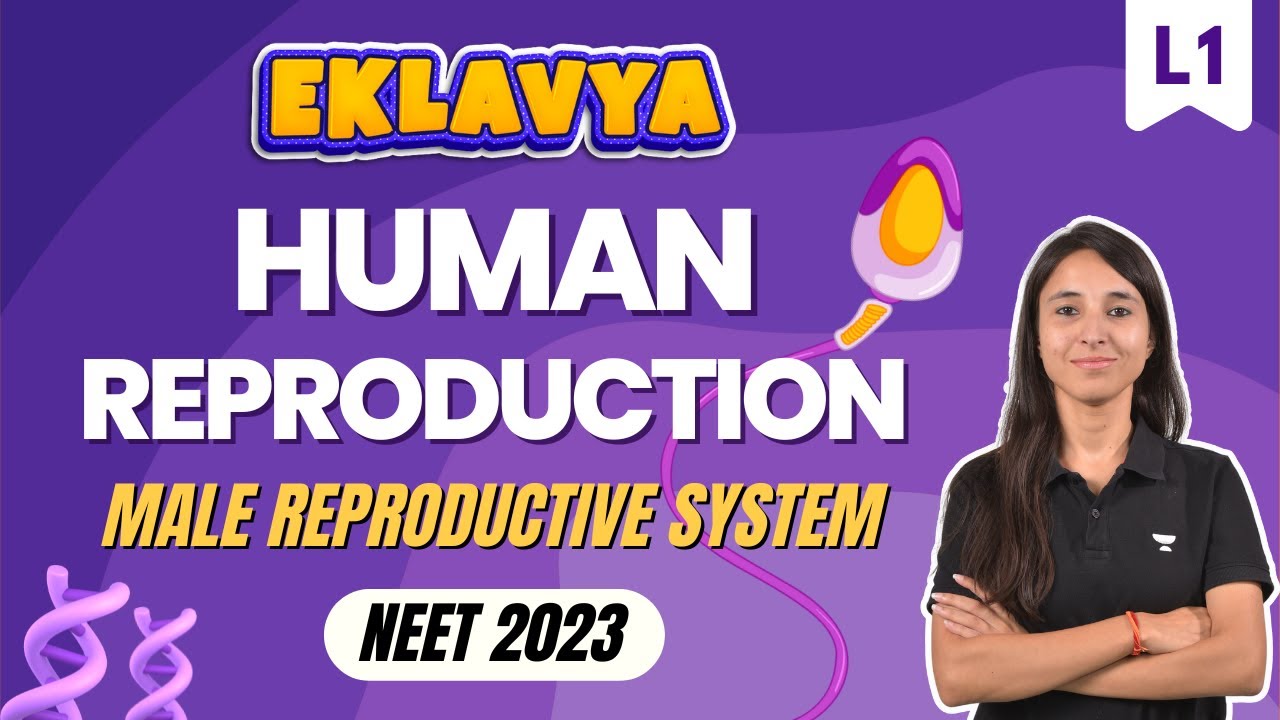 Human Reproduction  | Part 1 | Eklavya Batch | NEET 2023 | UMEED NEET UG
