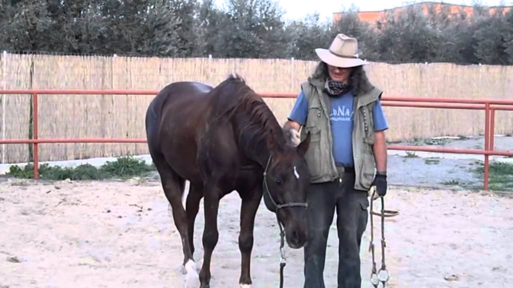 STAVROS STEVE VERGIS : Stomida OLO .mpg