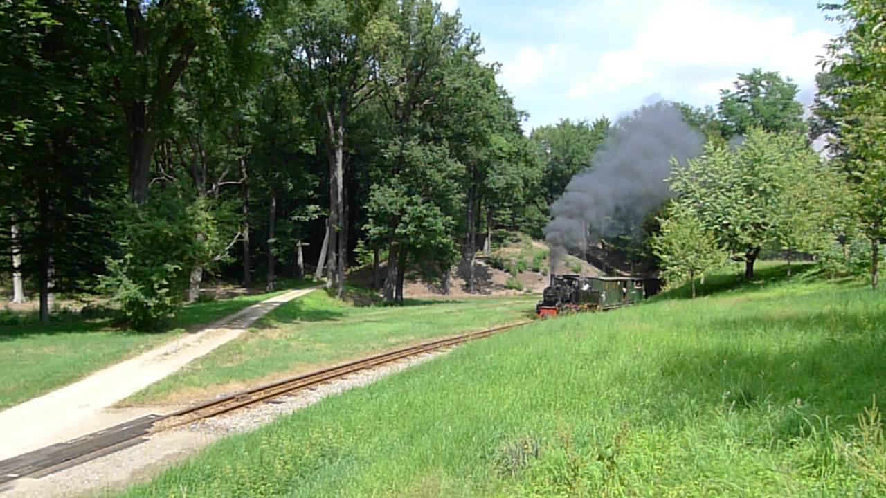 Waldeisenbahn Muskau 99 3462 mit M.P.S.B.-Wagen bei Bad Muskau
